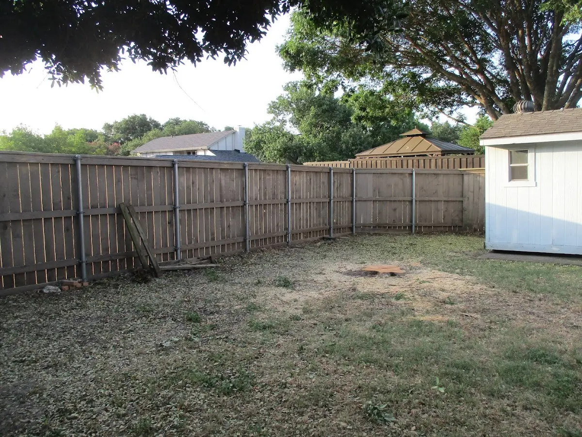 Cleared yard after professional tree removal in Richmondville
